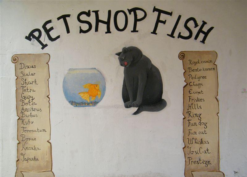 PET SHOP “FISH”